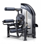 SportsArt DF206 Lower Back/Ab Crunch